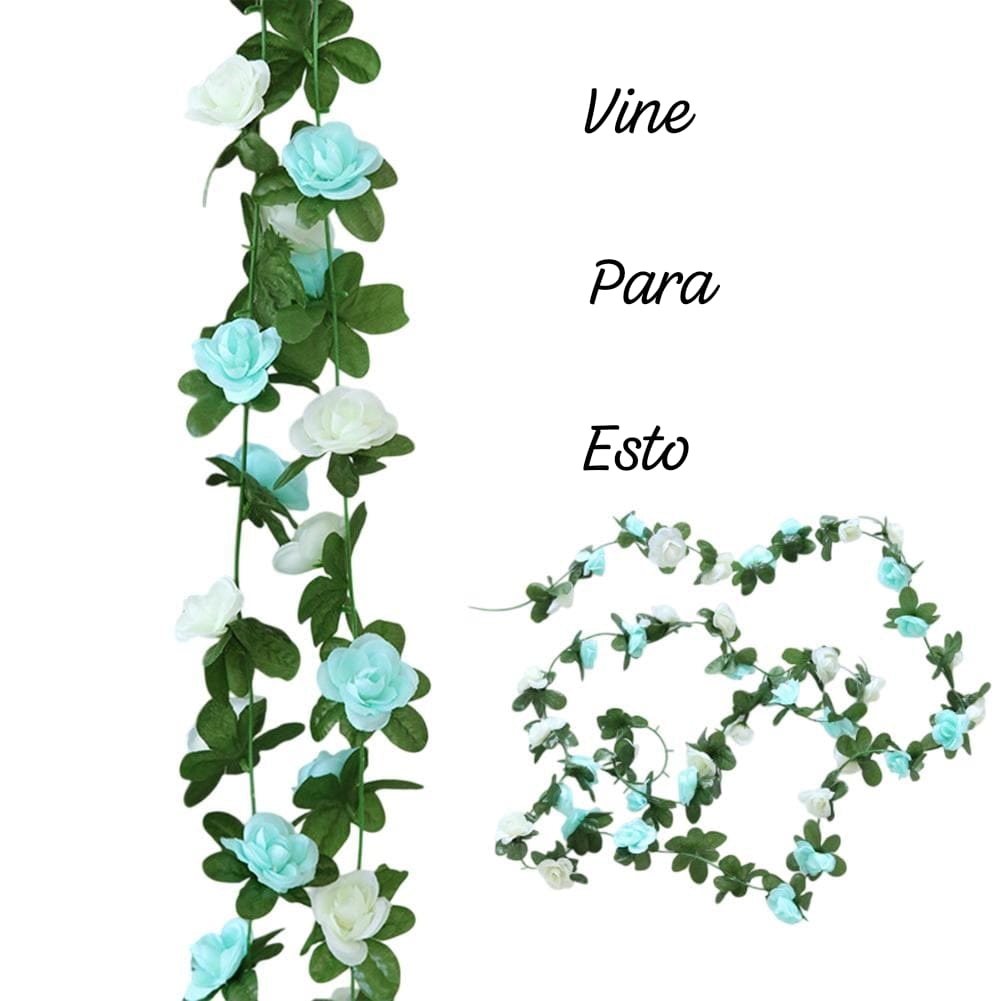 20 I Came for This (Vine para Esto) 17-8-2025