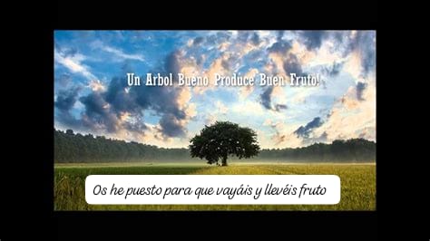 22 The Way That Delights God  (Camino Aprobado por Dios ) 2-8-2020