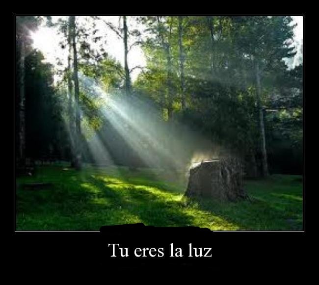 23 You are the Light (Tú eres la Luz) 27-7-2025