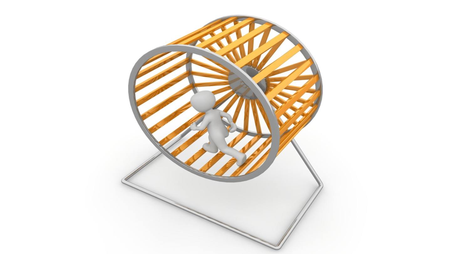 24 The Hamsters Wheel La Rueda del Hamster19-7-2026