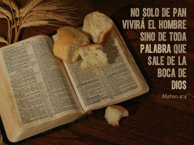 37 The Word Alone (Sola Palabra) 20-4-2025