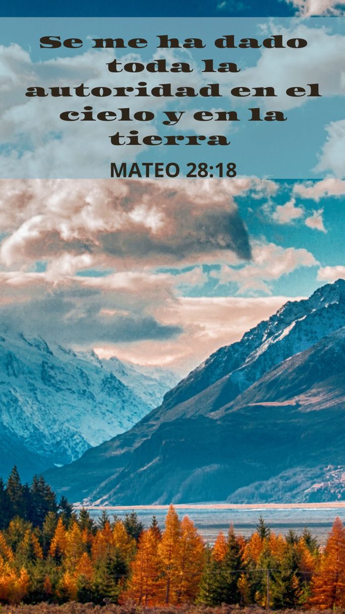 42 Supreme Authority Autoridad Suprema 15-3-2026 2